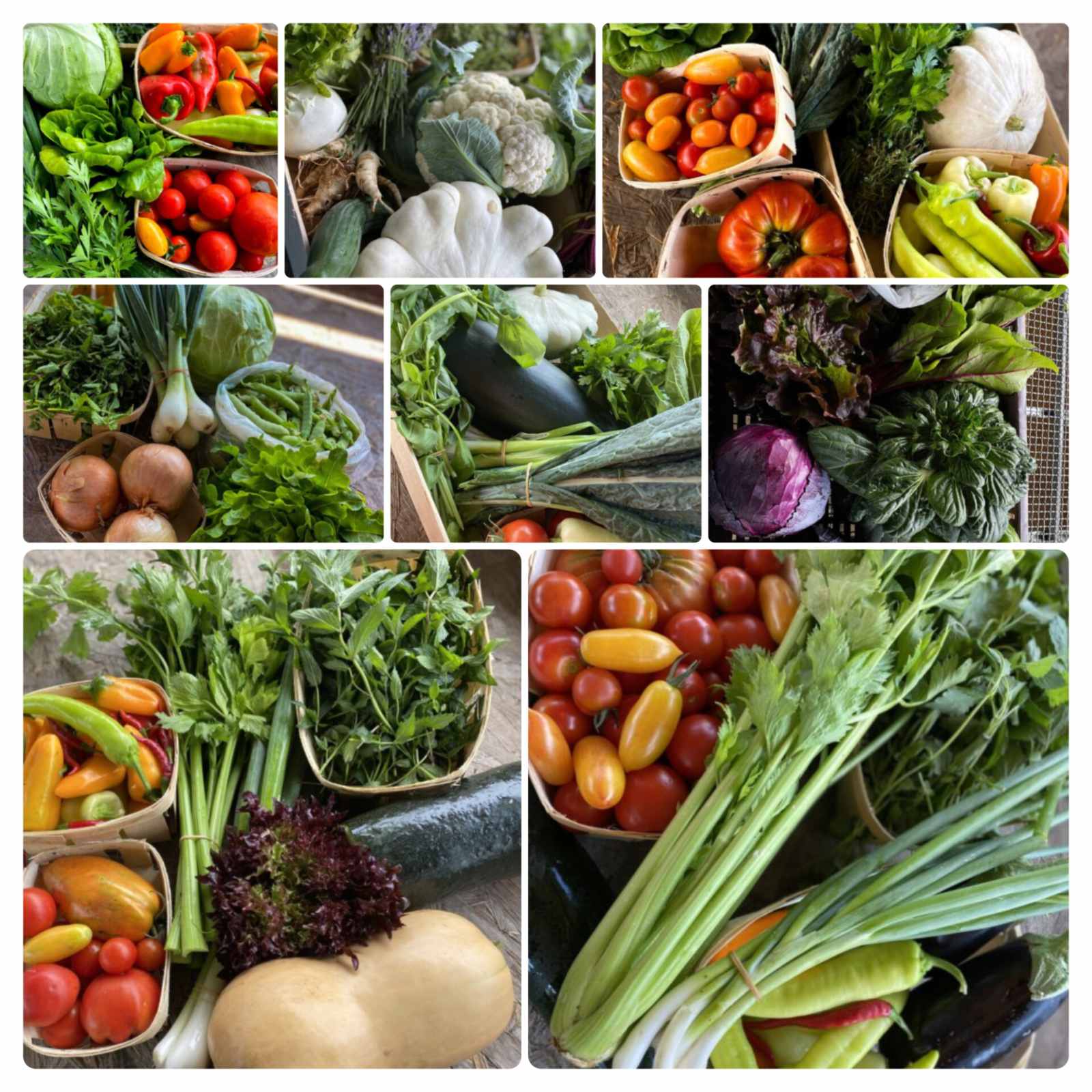 Nádland Farm NAGY szezonkosár - 1