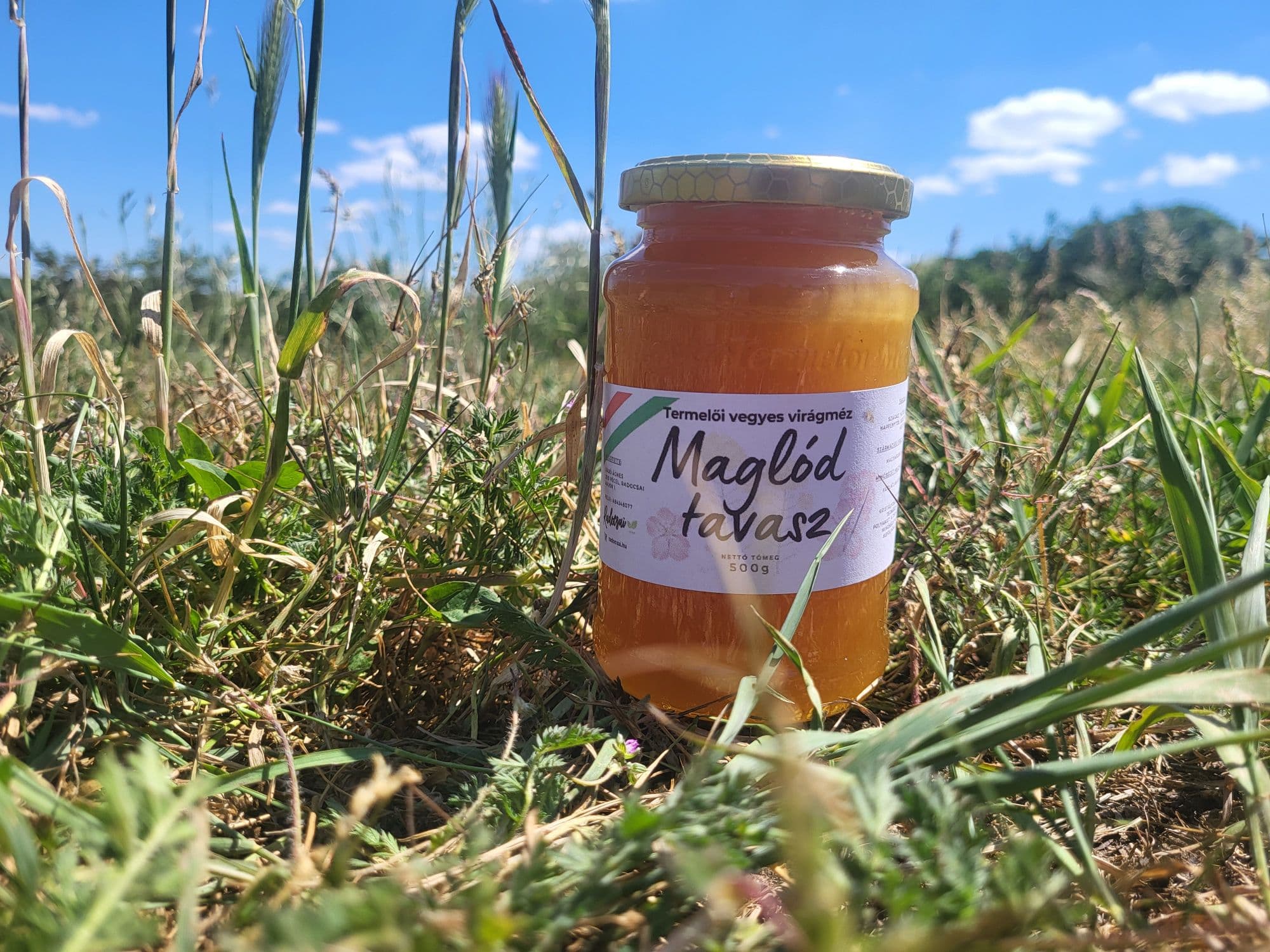 Maglód Tavasza méz – 500 g - 1
