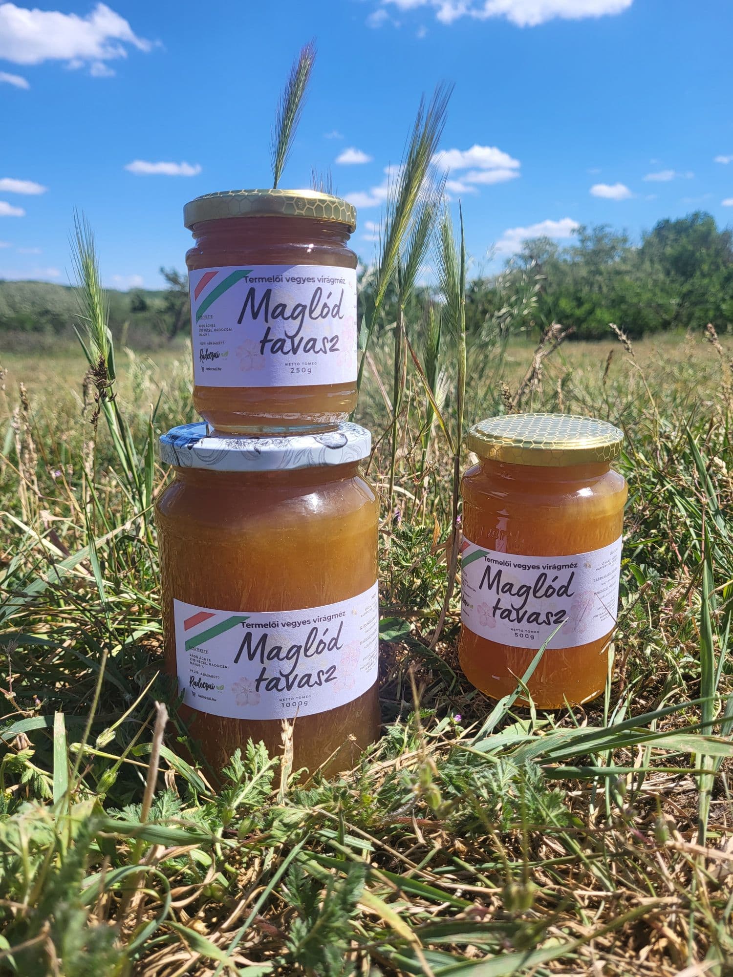 Maglód Tavasza méz – 500 g - 2