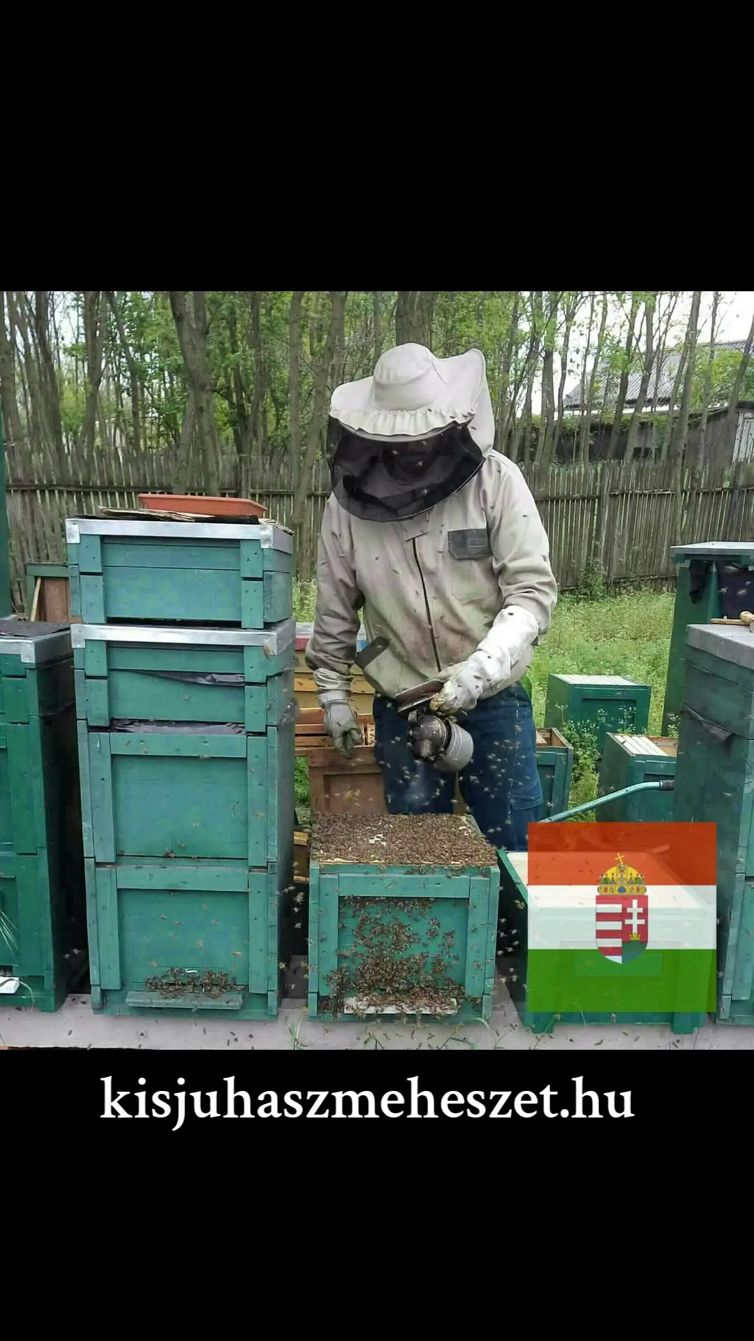 Kisjuhász Méhészet Ladánybene