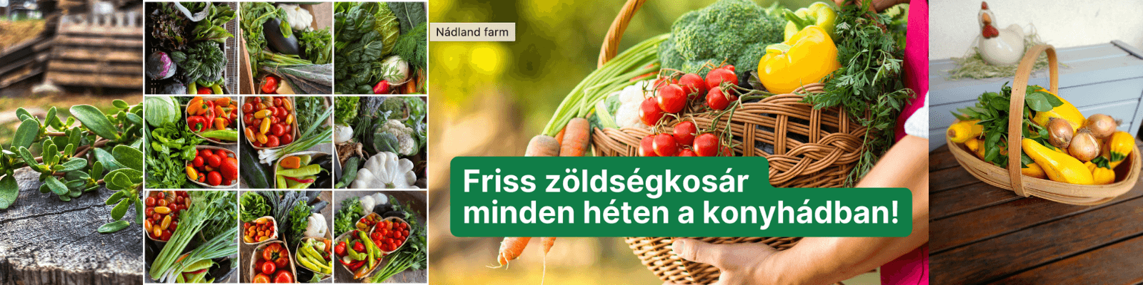 Nádland Farm borítókép