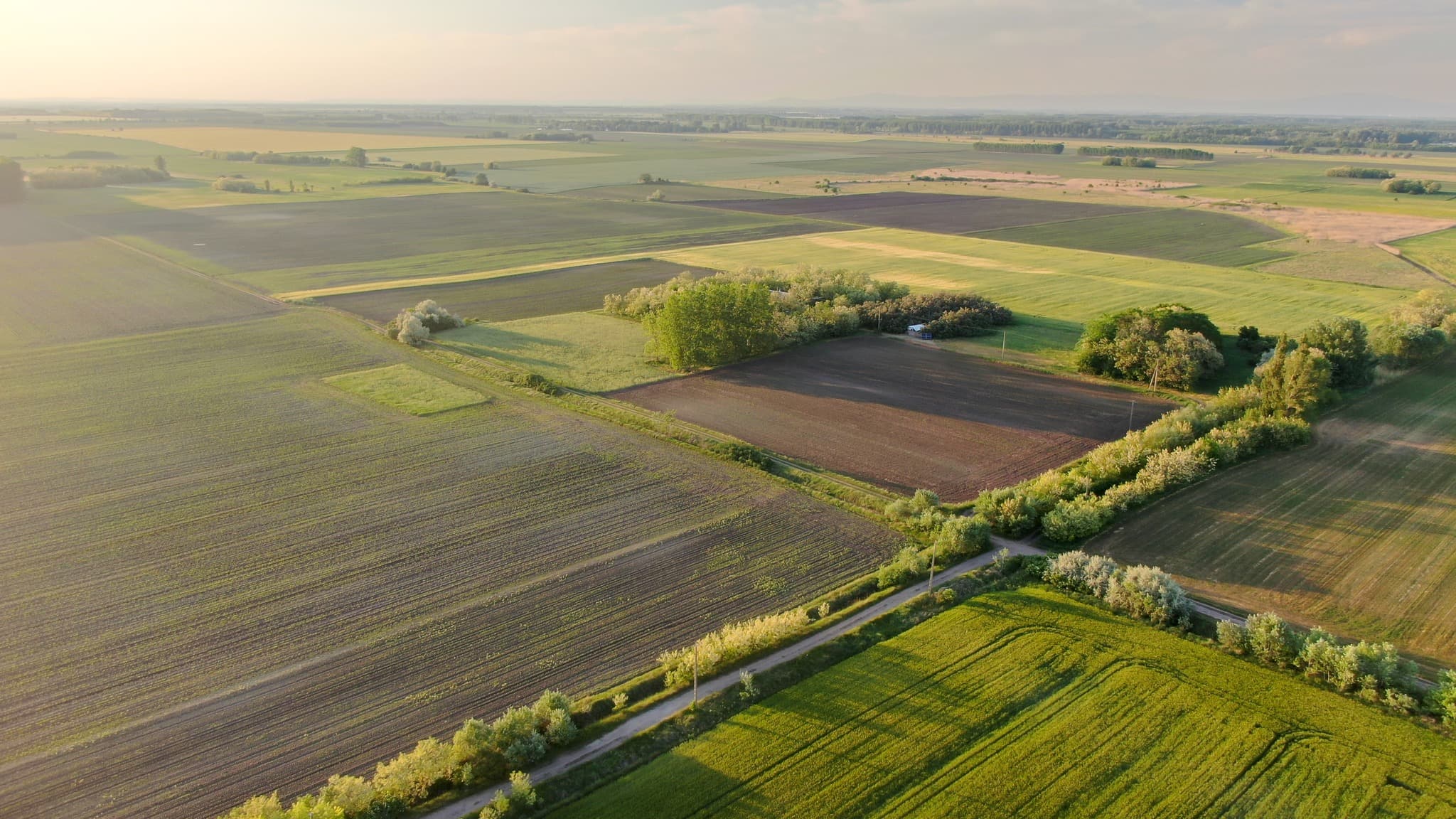 Gereben Tanya borítókép