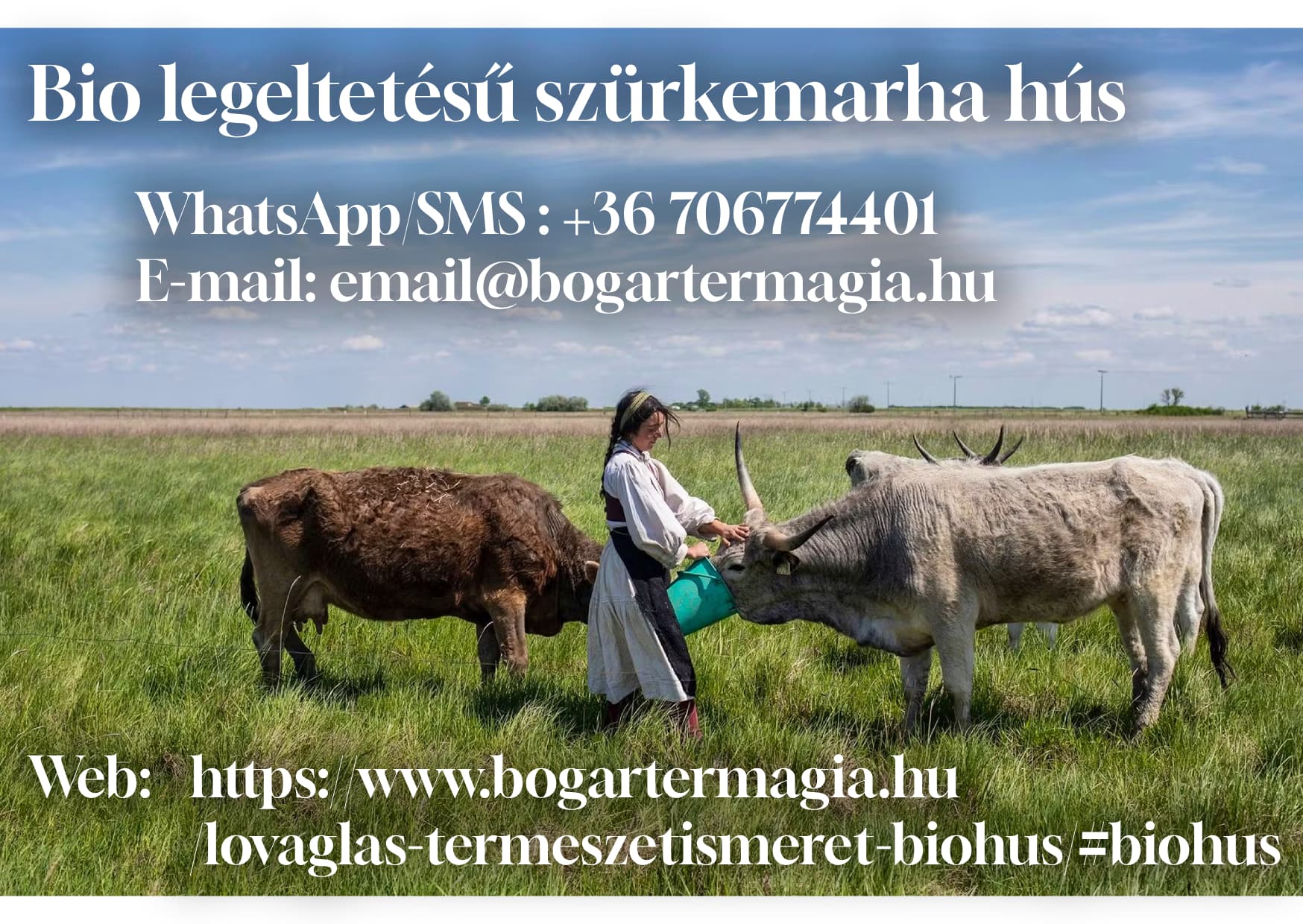 Kék Tanya borítókép