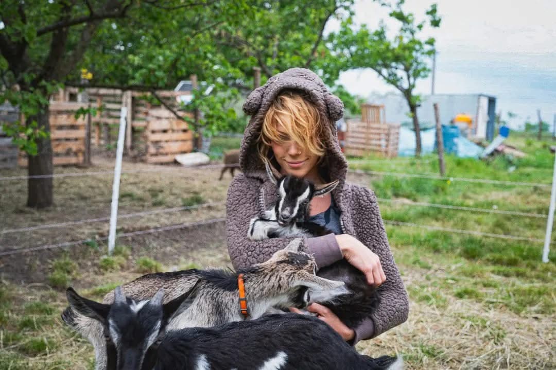 Black Sand Farm borítókép